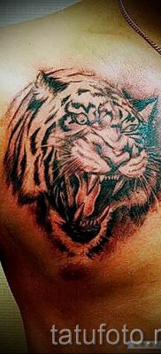 фото тату оскал тигра для статьи про значение татуировки с оскалом — tatufoto.ru — 35