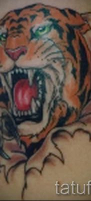 фото тату оскал тигра для статьи про значение татуировки с оскалом — tatufoto.ru — 38