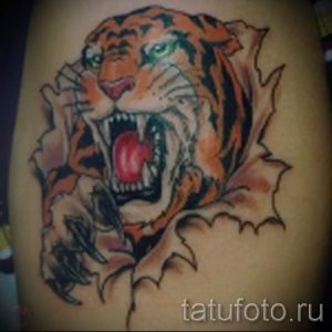 фото тату оскал тигра для статьи про значение татуировки с оскалом - tatufoto.ru - 38