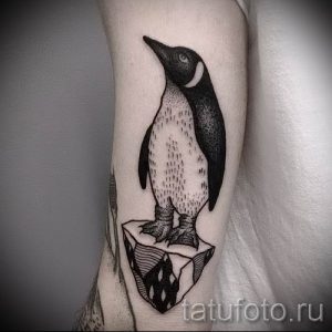 фото тату пингвин для статьи про значение татуировки пингвин - tatufoto.ru - 31