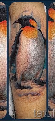 фото тату пингвин для статьи про значение татуировки пингвин — tatufoto.ru — 36