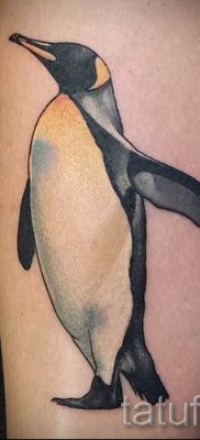 фото тату пингвин для статьи про значение татуировки пингвин — tatufoto.ru — 45