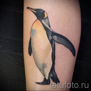 фото тату пингвин для статьи про значение татуировки пингвин - tatufoto.ru - 45