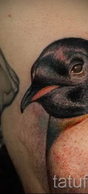 фото тату пингвин для статьи про значение татуировки пингвин — tatufoto.ru — 52