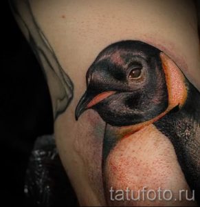 фото тату пингвин для статьи про значение татуировки пингвин - tatufoto.ru - 52