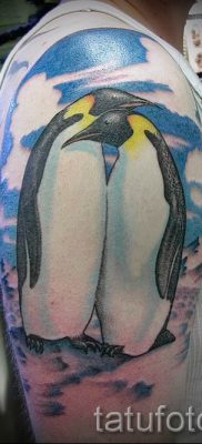 фото тату пингвин для статьи про значение татуировки пингвин — tatufoto.ru — 58