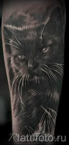 фото тату с черной кошкой для статьи про значение татуировки - tatufoto.ru - 8