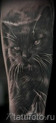 фото тату с черной кошкой для статьи про значение татуировки — tatufoto.ru — 8