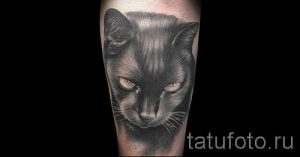 фото тату с черной кошкой для статьи про значение татуировки - tatufoto.ru - 37