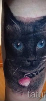 фото тату с черной кошкой для статьи про значение татуировки — tatufoto.ru — 57
