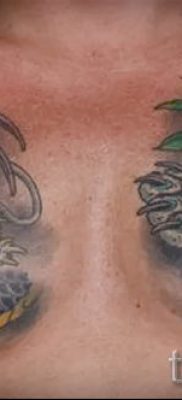 фото тату тигр и дракон для статьи про значение татуировки — tatufoto.ru — 2