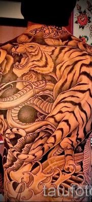 фото тату тигр и дракон для статьи про значение татуировки — tatufoto.ru — 3