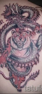 фото тату тигр и дракон для статьи про значение татуировки — tatufoto.ru — 7