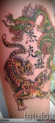 фото тату тигр и дракон для статьи про значение татуировки — tatufoto.ru — 13