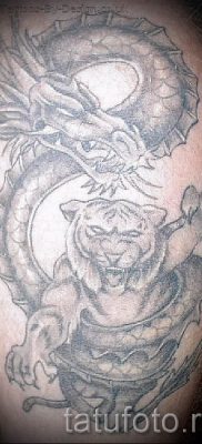 фото тату тигр и дракон для статьи про значение татуировки — tatufoto.ru — 29