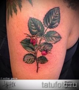 фото тату шиповник для статьи про значение татуировки шиповник - tatufoto.ru - 10