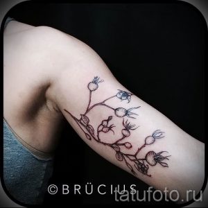 фото тату шиповник для статьи про значение татуировки шиповник - tatufoto.ru - 18