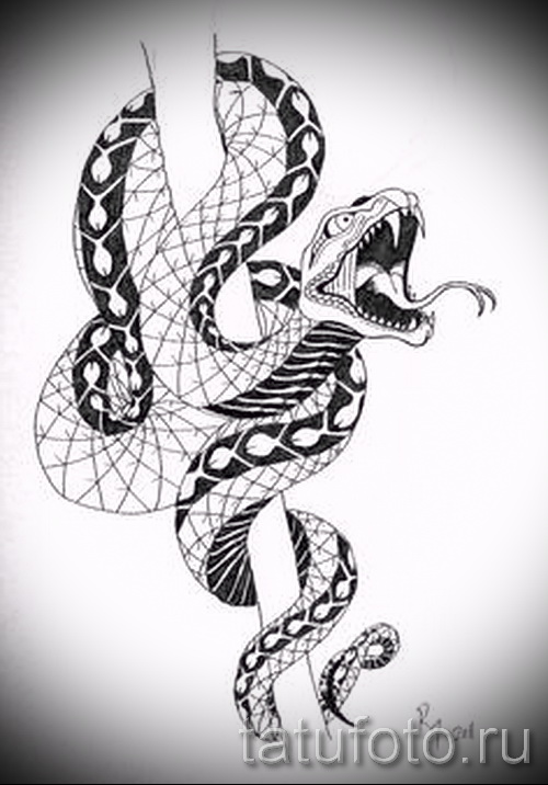 Змея тату - татуировка змея в фотографиях