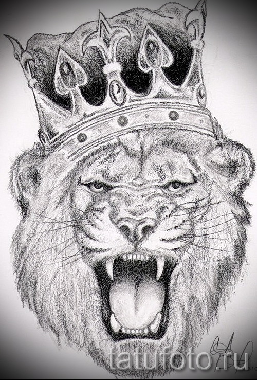 Сделать тату в виде льва, значение татуировки лев, фото и эскизы салона  ТАТУмания