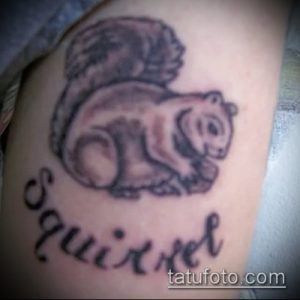 Фото тату белки на предплечье в серой гамме с надписью 'Squirrel'. Детализированный рисунок с акцентом на пушистый хвост.