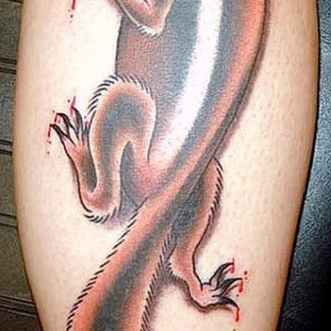 Interesting about the squirrel tattoo photo.