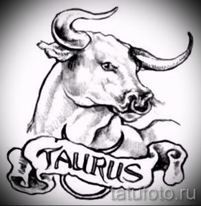 Черно-белый эскиз татуировки головы быка с надписью "TAURUS". Изображение выглядит традиционно и стильно.