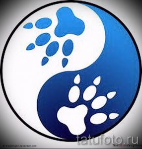 Фото татуировки Инь и Ян, где вместо традиционных элементов изображены отпечатки лап белого и синего цвета. Оригинальный и милый дизайн.