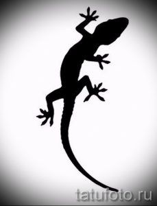 Интересный эскиз для татуировки саламандра – картинка для формирования задумки особенной татуировки с саламандрой