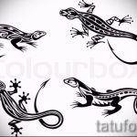 Крутой эскиз для наколки саламандра – изображение для формирования идеи эксклюзивной tattoo с саламандрой