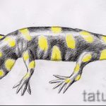 Классный эскиз для наколки саламандра – рисунок для формирования задумки особенной tattoo с саламандрой
