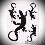 Интересный эскиз для тату саламандра – изображение для формирования задумки особенной татуировки с саламандрой