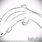 Интересный эскиз для наколки саламандра – изображение для формирования задумки уникальной тату с саламандрой