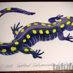 Оригинальный эскиз для татуировки саламандра – картинка для формирования задумки уникальной татуировки с саламандрой
