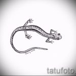 Крутой эскиз для тату саламандра – изображение для формирования идеи уникальной тату с саламандрой