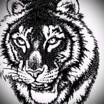 Оригинальный эскиз татуировки тату тигр (рисунки для татуировки с тигром) - вариант рисунка эскизы тату тигр (рисунки для татуировки с тигром) для разработки стильной идеи татуировки тигр