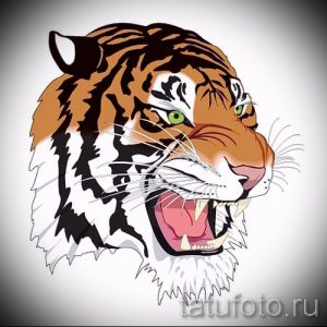 Фото тату реалистичной головы тигра с открытой пастью и оскаленными зубами. Яркий и детализированный рисунок татуировки.