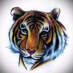 Интересны эскиз наколки тату тигр (рисунки для татуировки с тигром) - идея рисунка эскизы тату тигр (рисунки для татуировки с тигром) для создания эксклюзивной идеи татуировки тигр