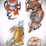 Крутой эскиз тату тату тигр (рисунки для татуировки с тигром) - вариант рисунка эскизы тату тигр (рисунки для татуировки с тигром) для разработки стильной идеи татуировки тигр