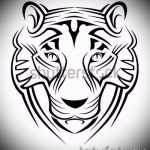 Прикольный эскиз наколки тату тигр (рисунки для татуировки с тигром) - идея рисунка эскизы тату тигр (рисунки для татуировки с тигром) для разработки стильной идеи татуировки тигр