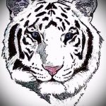 Достойный эскиз тату тату тигр (рисунки для татуировки с тигром) - вариант рисунка эскизы тату тигр (рисунки для татуировки с тигром) для создания эксклюзивной идеи тату тигр
