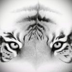 Крутой эскиз наколки тату тигр (рисунки для татуировки с тигром) - идея рисунка эскизы тату тигр (рисунки для татуировки с тигром) для создания стильной идеи татуировки тигр