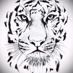 Оригинальный эскиз татуировки тату тигр (рисунки для татуировки с тигром) - вариант рисунка эскизы тату тигр (рисунки для татуировки с тигром) для создания стильной идеи тату тигр