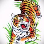 Оригинальный эскиз татуировки тату тигр (рисунки для татуировки с тигром) - вариант рисунка эскизы тату тигр (рисунки для татуировки с тигром) для создания интересной идеи татуировки тигр