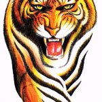Достойный эскиз татуировки тату тигр (рисунки для татуировки с тигром) - идея рисунка эскизы тату тигр (рисунки для татуировки с тигром) для создания эксклюзивной идеи татуировки тигр