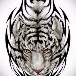 Крутой эскиз тату тату тигр (рисунки для татуировки с тигром) - идея рисунка эскизы тату тигр (рисунки для татуировки с тигром) для разработки интересной идеи тату тигр