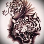Достойный эскиз татуировки тату тигр (рисунки для татуировки с тигром) - вариант рисунка эскизы тату тигр (рисунки для татуировки с тигром) для разработки эксклюзивной идеи татуировки тигр