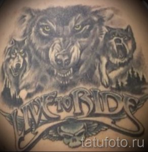 Фото тату на груди: три волка с надписью 'Live to Ride', черно-серый рисунок, детализированные морды волков, символика свободы и верности.