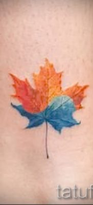 Идея интересного рисунка в готовой татуировке клен для публикации про толкование клена в тату