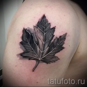Фото черно-серой татуировки на плече: реалистичный кленовый лист с проработанными прожилками.
