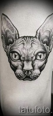 Уникальный вариант татуировки сфинкс – можно использовать для тату сфинкс кошка